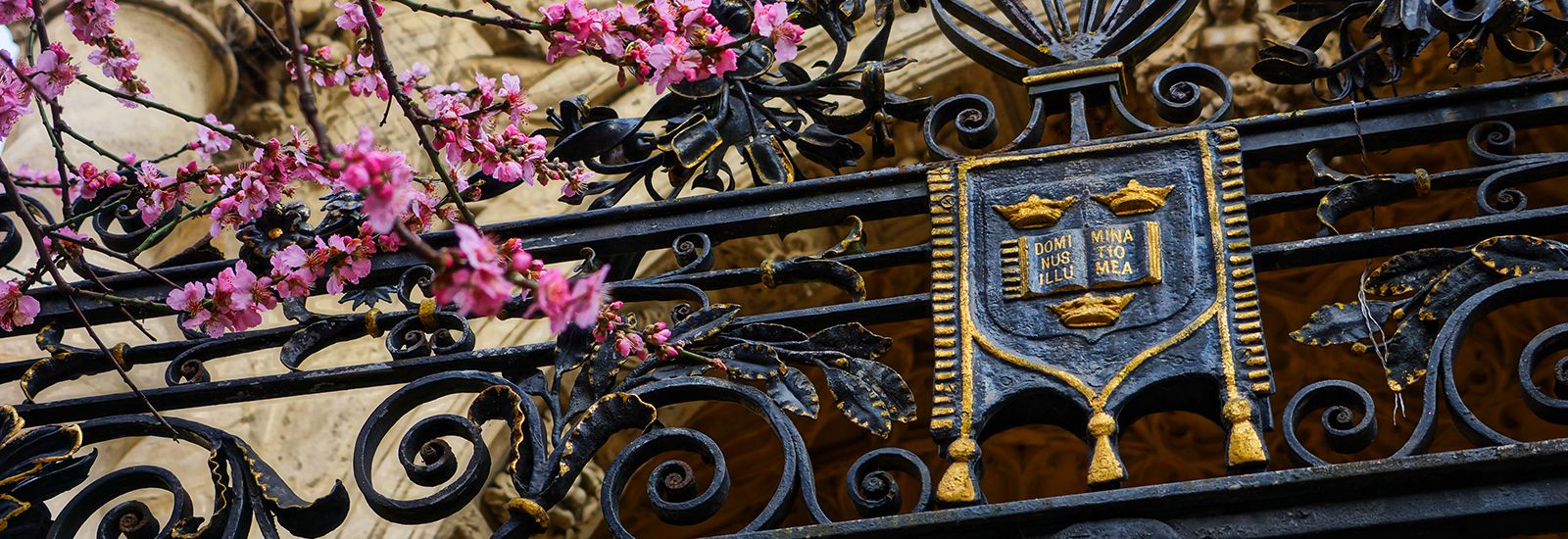 The Oxford crest
