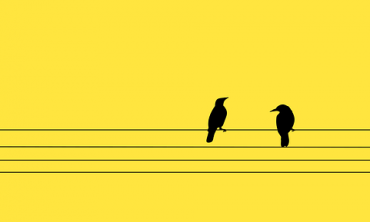 Two birds sitting on a wire against yellow background. 