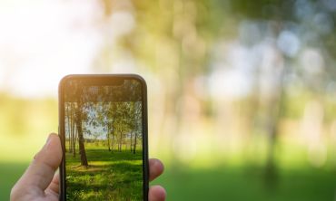 Image of a hand holding up a smartphone taking an image of some trees and grassland in the foreground