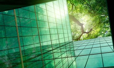 Image of an eco-friendly building in modern city. Sustainable glass office building looking skyward to a green tree.