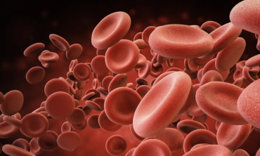 artwork showing red blood cells
