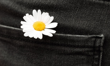 White daisy stuck in a back pocket of black jeans. 