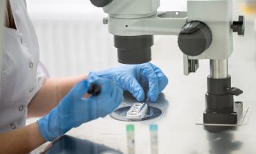 Close up image of a woman technician in blue gloves doing a control check of the in vitro fertilization process using a microscope