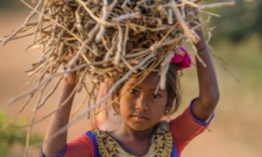 A girl with firewood in Andhra Pradesh: In times of crisis, additional household work, such as walking further to collect drinking water and firewood...often fall on girls and young women. Credit: Shutterstock.