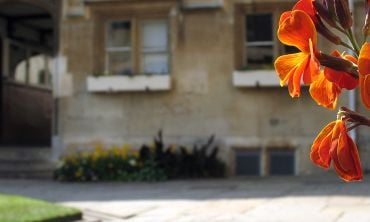 Close up of orange flowers in a quad