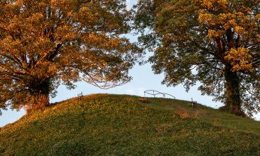 Two trees on a mound of grass