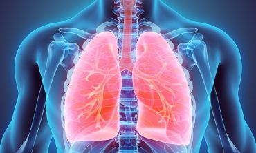 Illustrative graphic showing the anatomy of the chest with the lungs highlighted.