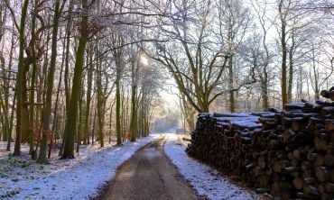 A path through Wytham Woods in winter, with snow on the ground.