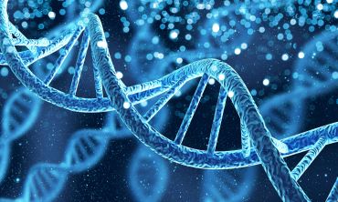An image of a DNA double helix. Image credit: Shutterstock.