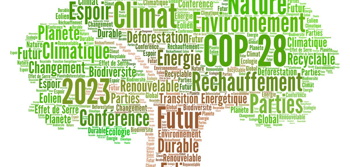 COP 28 screen