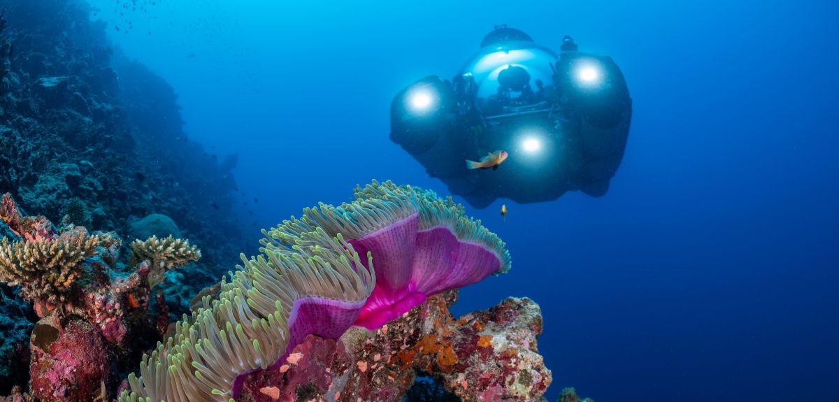 A three-person submarine underwater near a coral. Image credit: Nekton/Ocean Census.