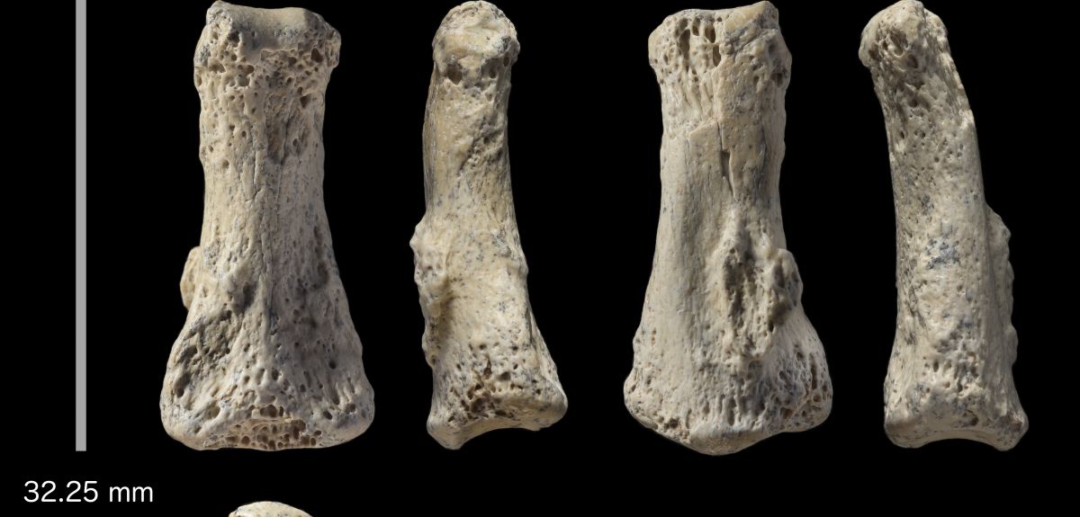 http://www.ox.ac.uk/news/2018-04-09-ancient-bones-suggest-first-humans-travelled-further-we-think