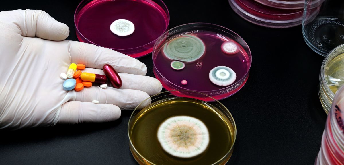 A hand in a latex glove holds an assortment of pills and capsules. Nearby are several circular petri dishes with bacterial colonies growing on agar.