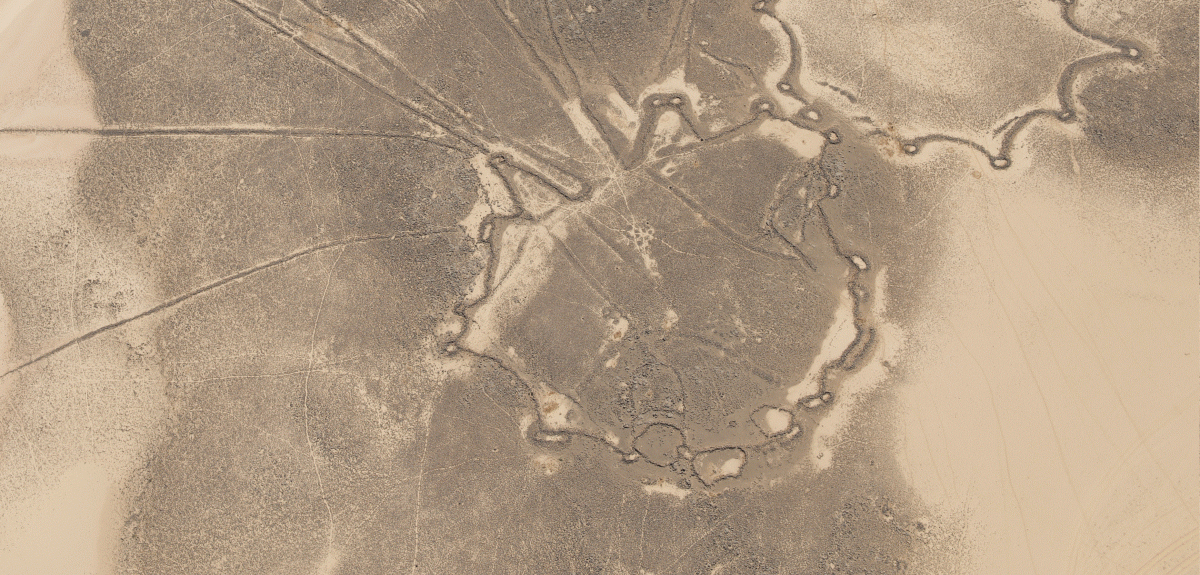 Aerial photo of a typical kite from eastern Jordan (Source: APAAME)