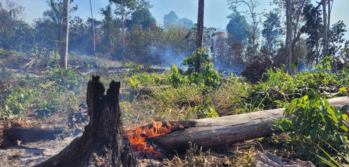 Amazonia's Fire Crises: Study shows emergency fire bans are insufficient and urges strategic action ahead of the next burning season