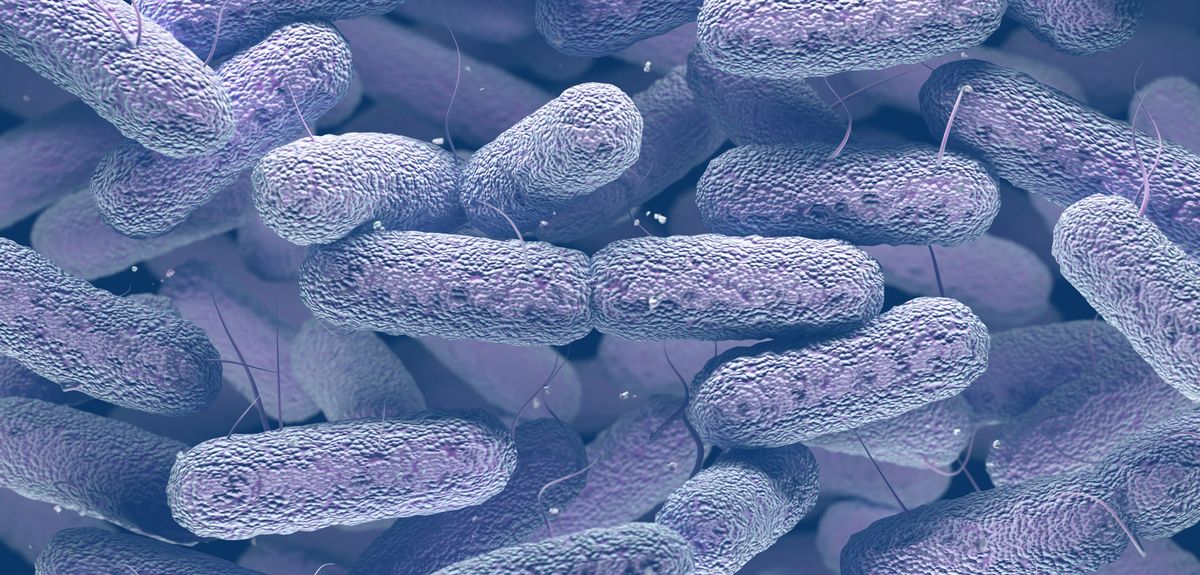 Controlling the spread of antibiotic resistant bacteria