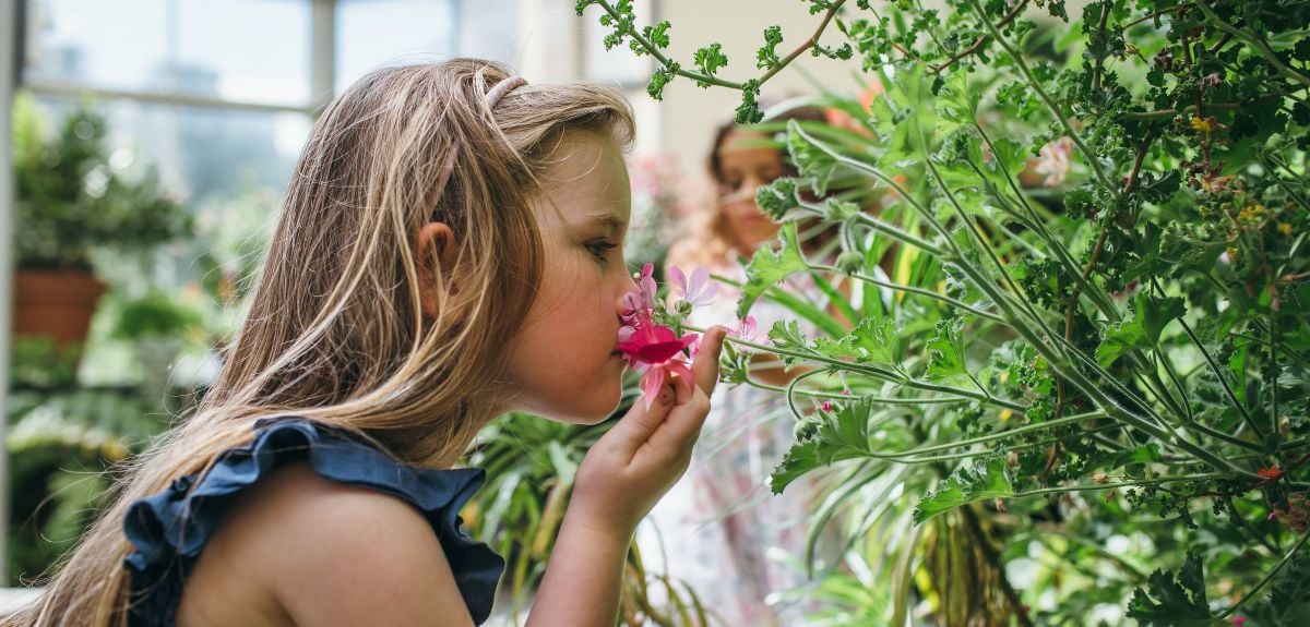 A young visitor to the Botanic Garden