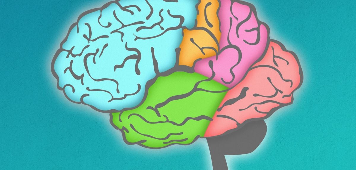 Paediatric Neuroimaging Group launches animation series to support parents of premature infants