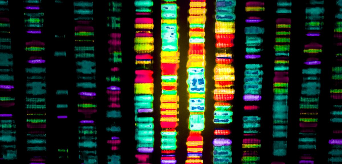 Partnership launched to develop cystic fibrosis gene therapy