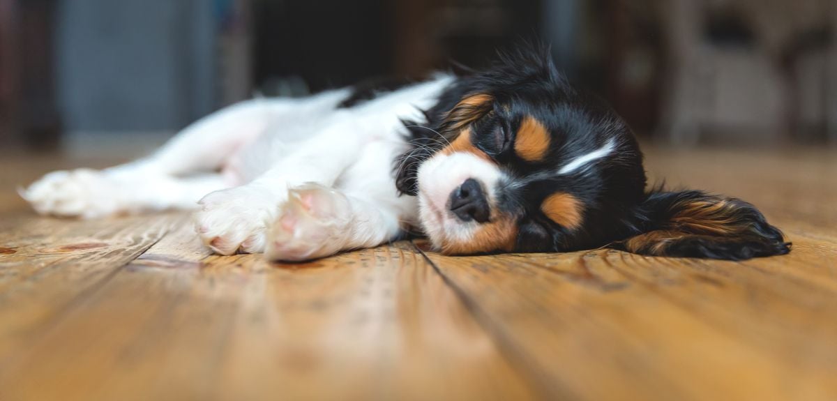 Finding the tipping point for sleep