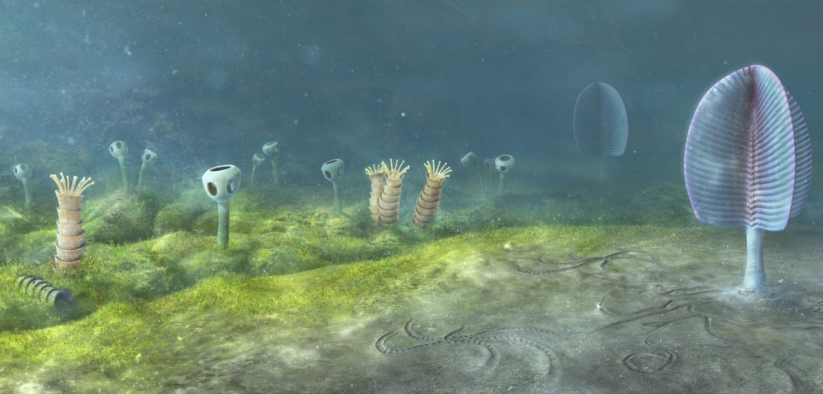 Artistic illustration of a seafloor with tube shaped creatures protruding from the sea bed. Some have tentacles, others have square like appendages with holes in.