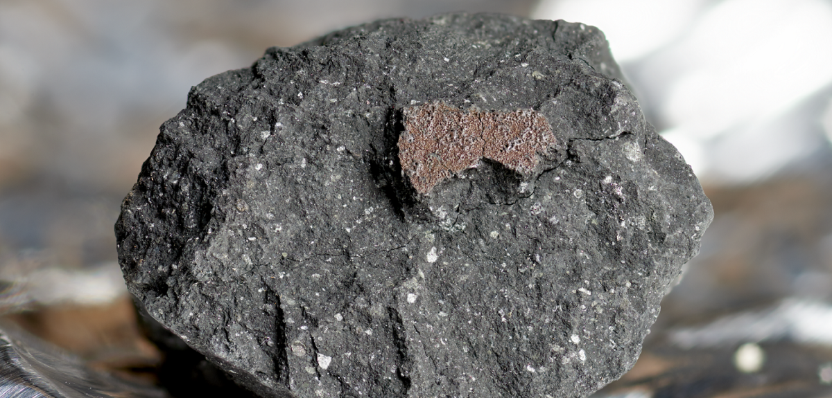 A fragment of the Winchcombe Meteorite. Credit: Trustees of the Natural History Museum, NHM.