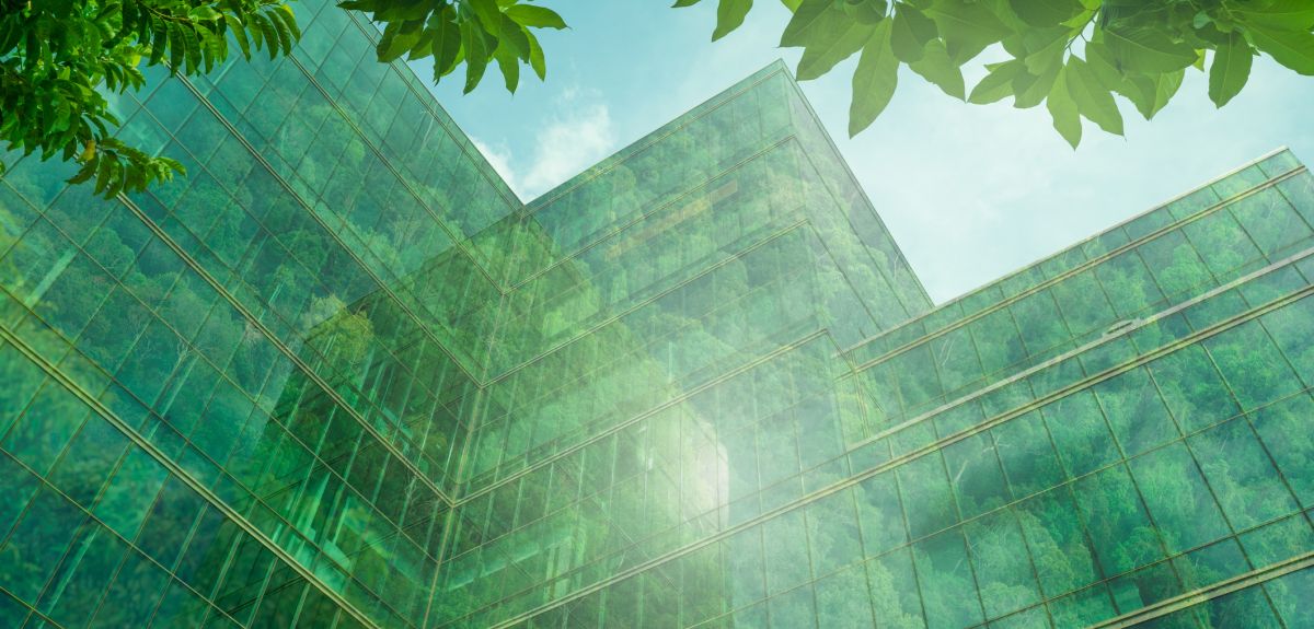 An eco-friendly glass building, viewed from below, looking up, with tree leaves in the foreground. 