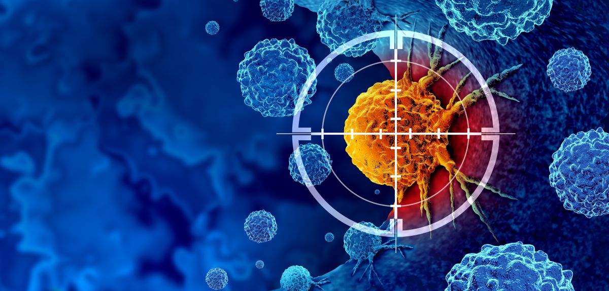 Researchers discover how immune cells hunt down cancer around the body