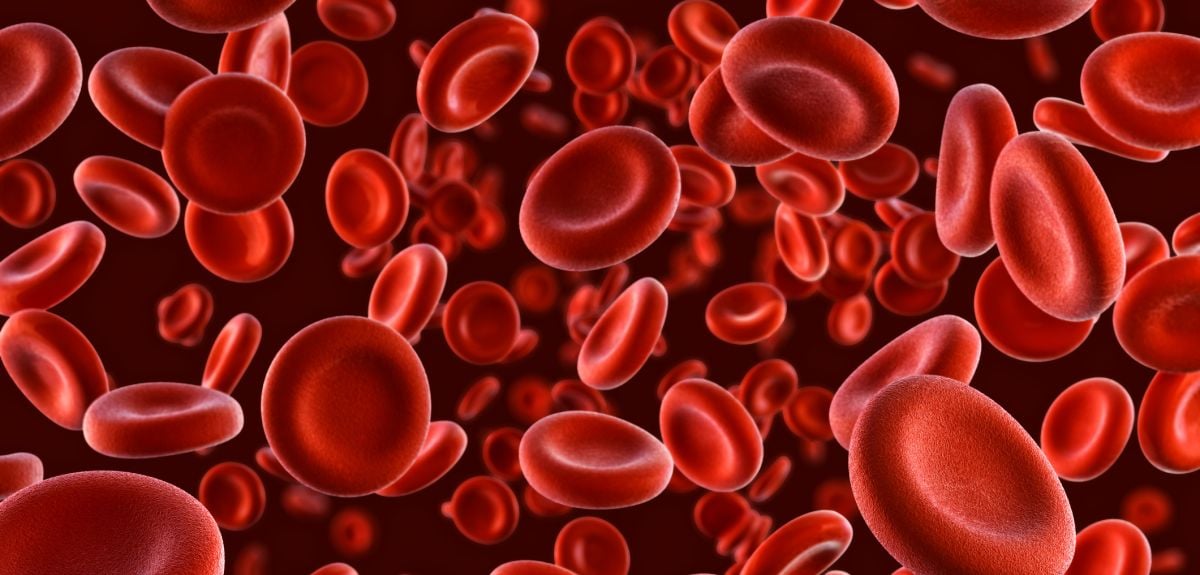 Red blood cells