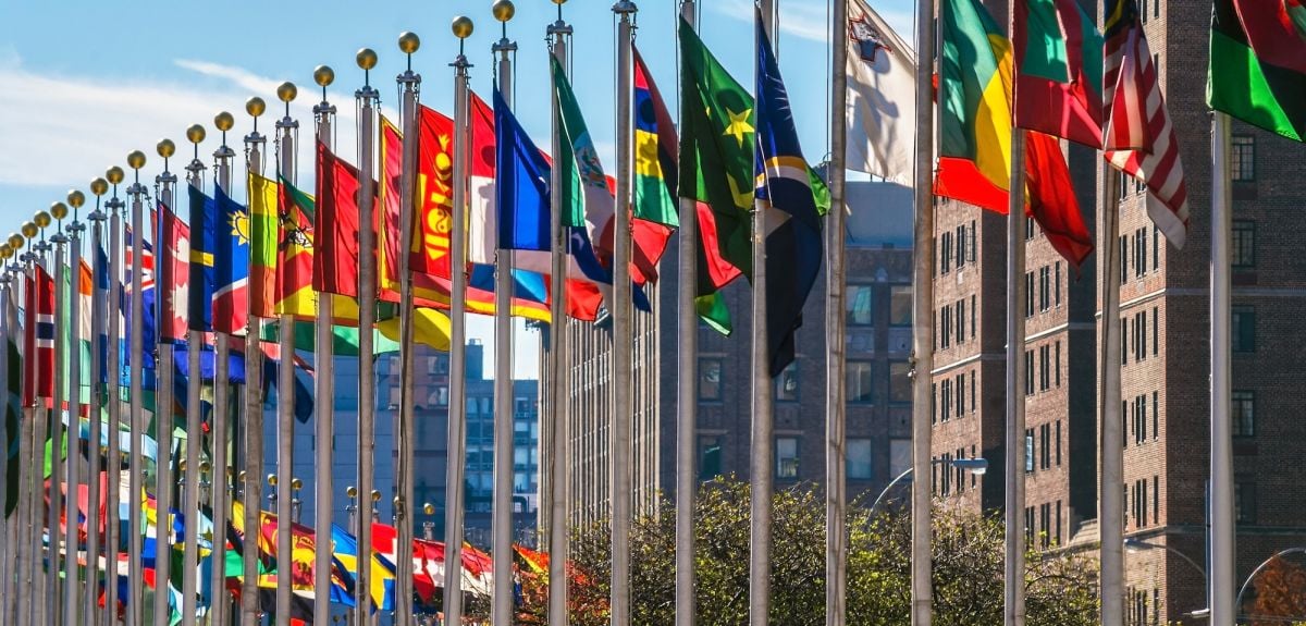 Flags of nations outside of the UN building in Manhattan. Credit: andykazie, Getty Images 