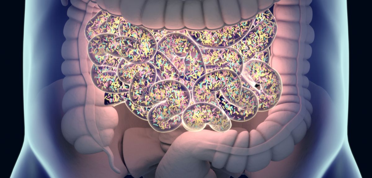 Can gut microbes manipulate our minds?