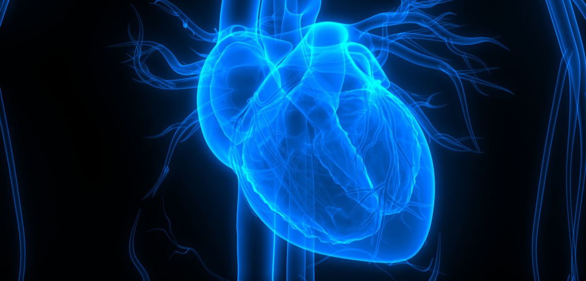 New approach to reducing damage after a heart attack