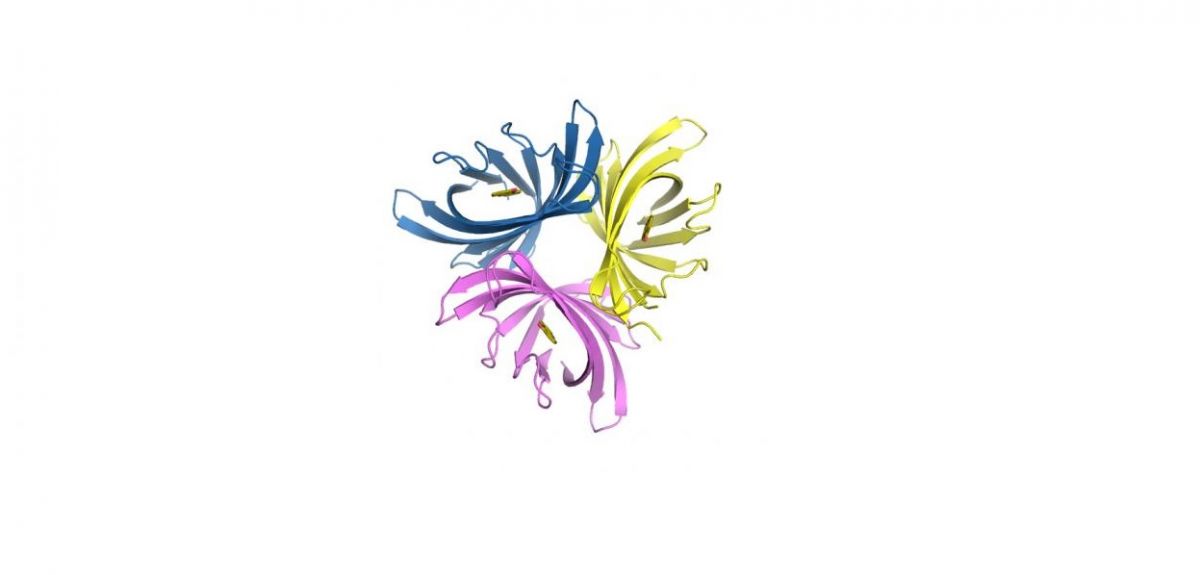 Crystal structure of PodA protein complex