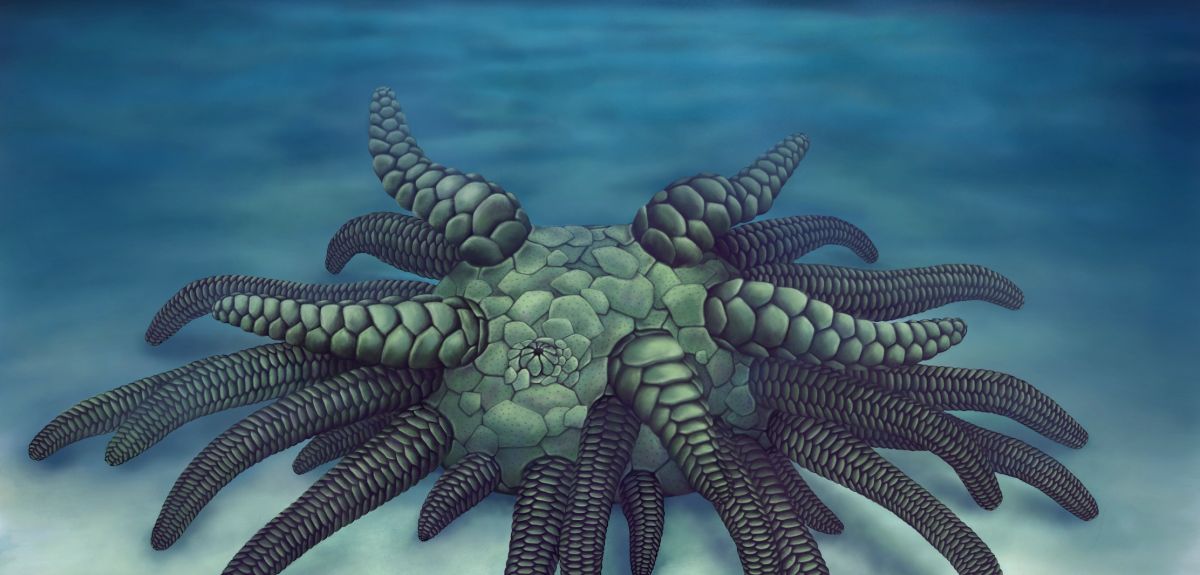 Life reconstruction of Sollasina cthulhu.
