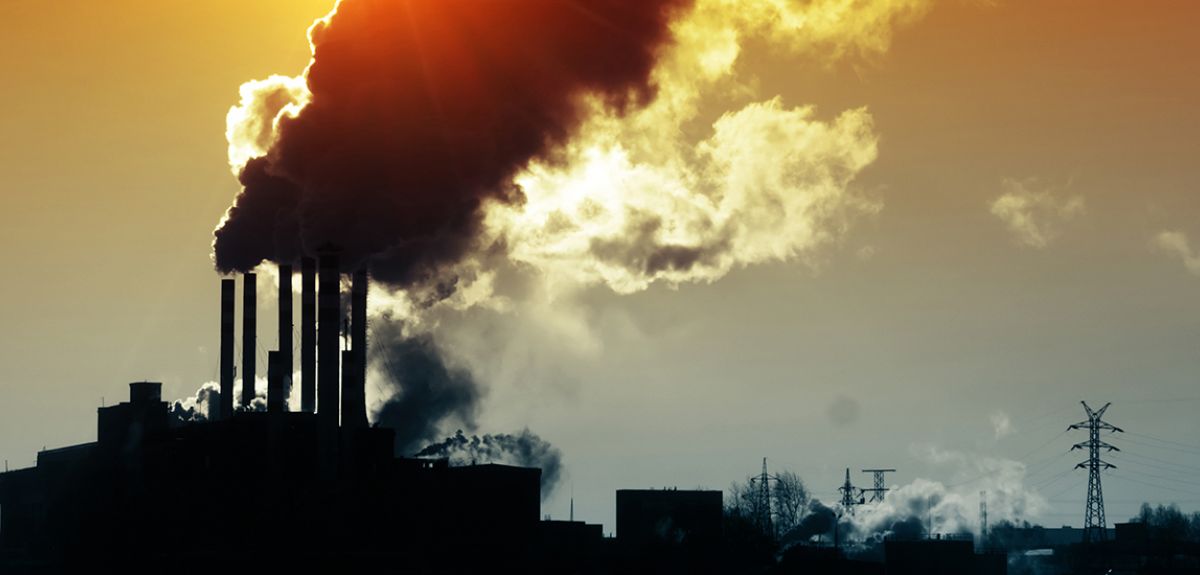 Utility companies undermining global transition to net-zero emissions