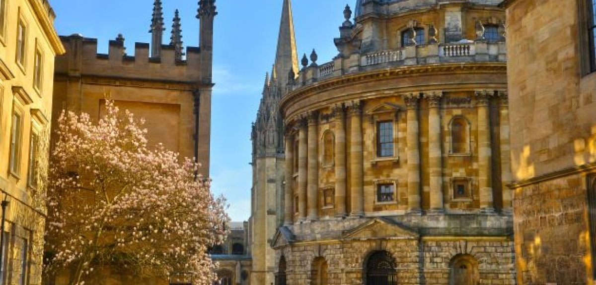 A flowering blossom tree in Radcliffe Square, Photovibe