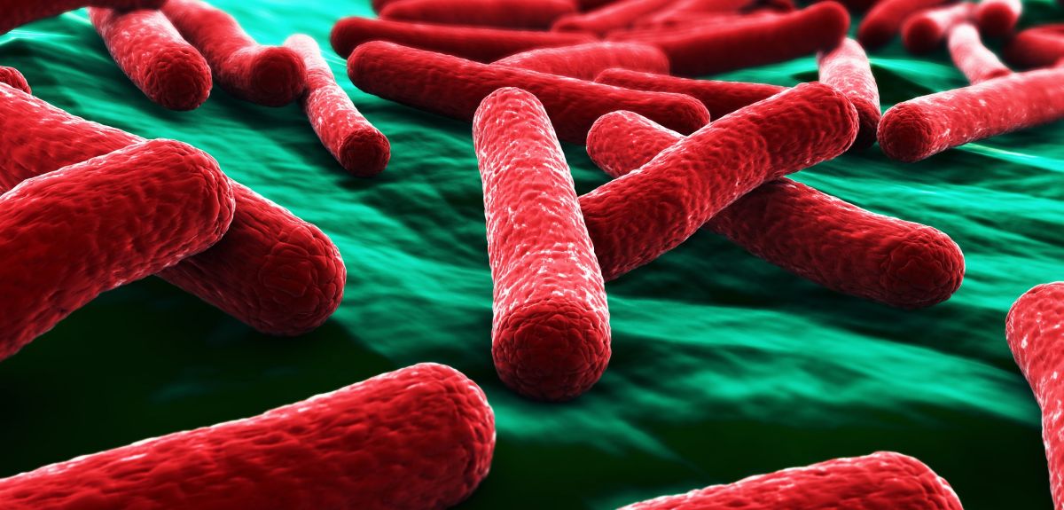 An artistic close-up image of E. coli bacteria. Image credit: Shutterstock.