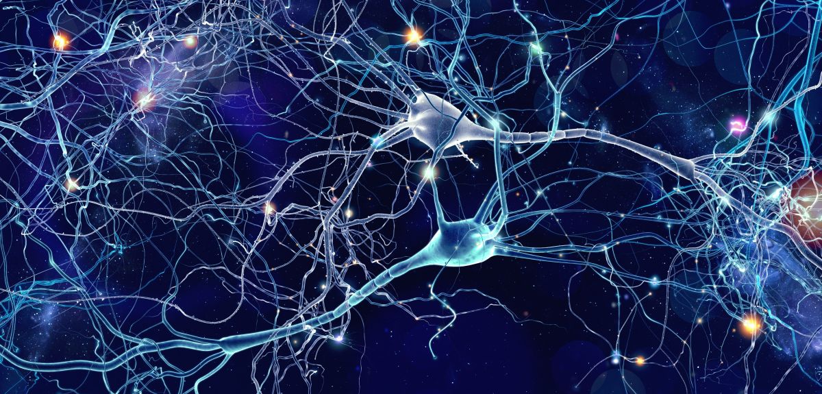 Conceptual illustration of neuron cells. Image credit: Shutterstock.