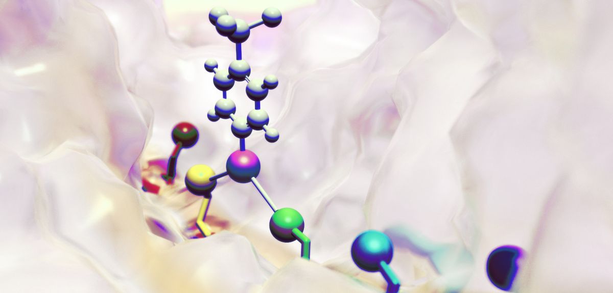 Visualisation of the small molecule walker created by the team