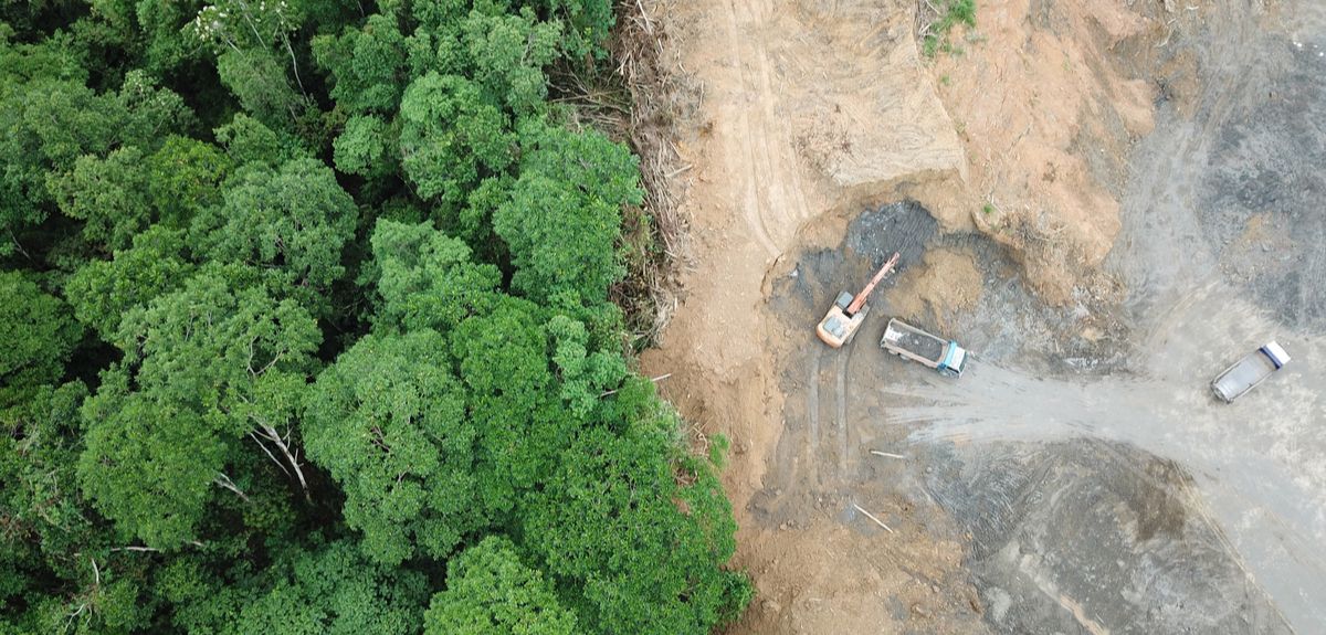 Aerial photo showing how deforestation is used to make way for palm oil plantations