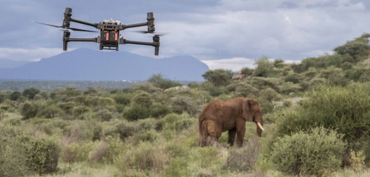 ドローンがゾウ保全の有力な味方に（New study finds drones can be a valuable ally in elephant conservation）
