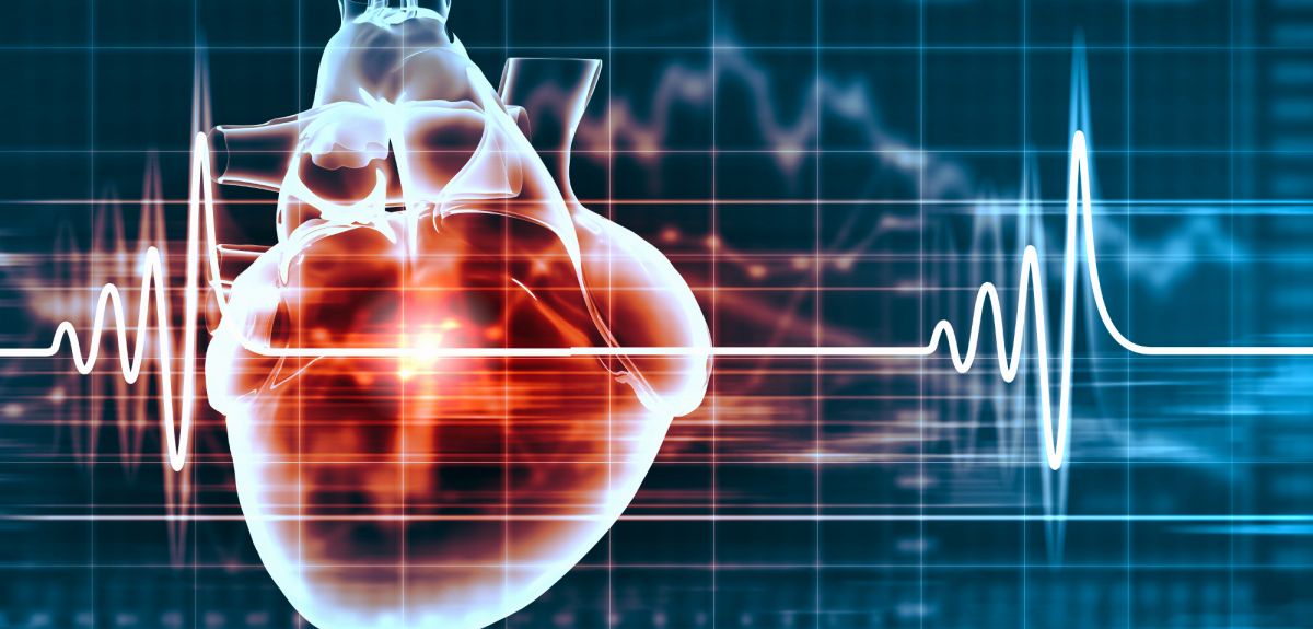 Human heart and cardiogram