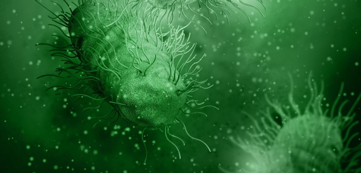 An artist's rendering of Salmonella