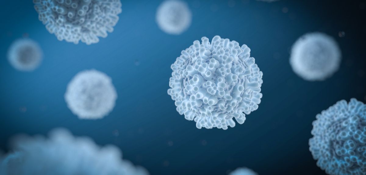 3D illustration of white blood cell leukocyte