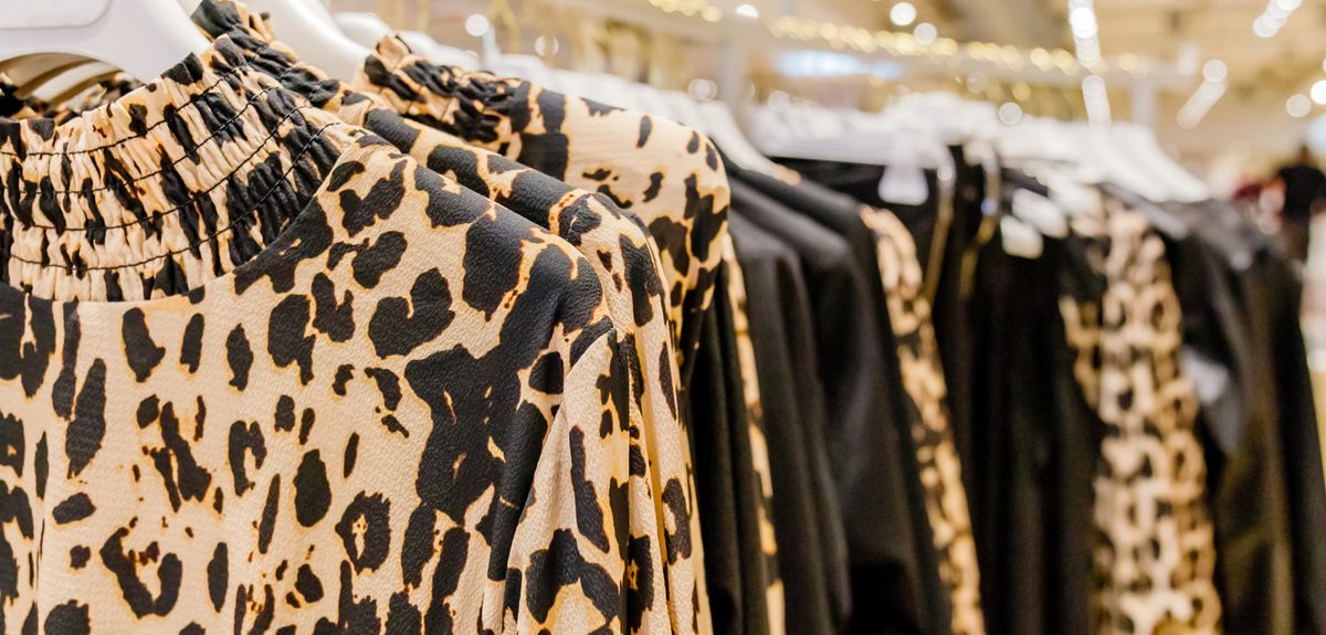 the extent of public interest in leopard print fashion, and whether this interest could be harnessed for the benefit of the animals through a ‘species royalty’ initiative