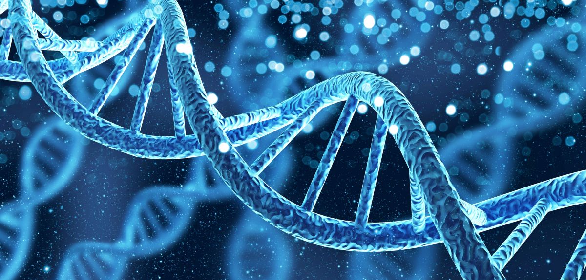 An image of a DNA double helix. Image credit: Shutterstock.