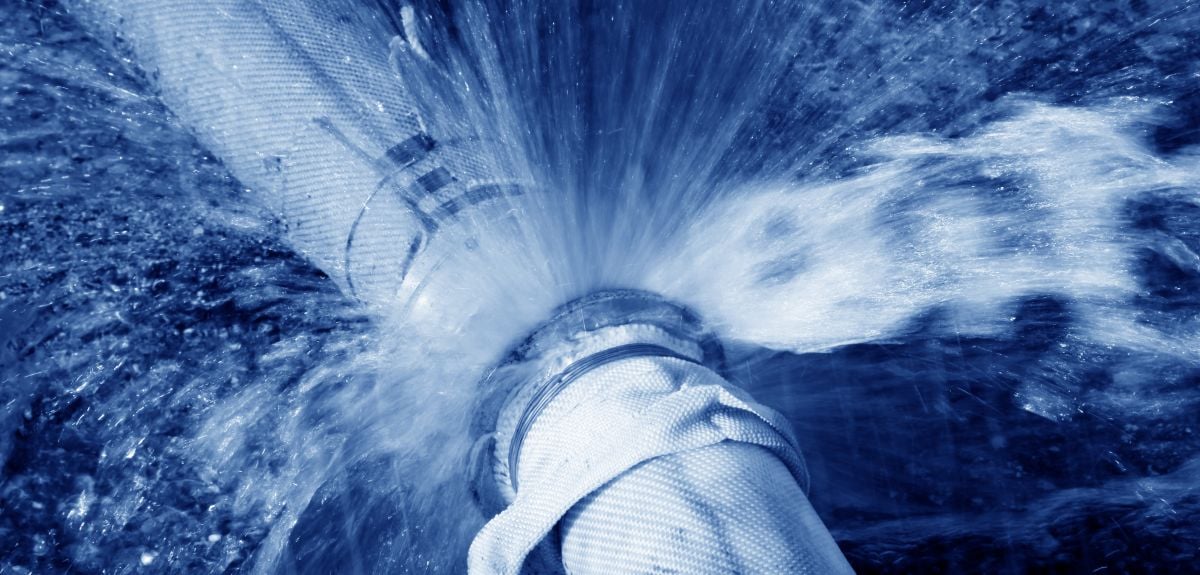 Image credit: Shutterstock