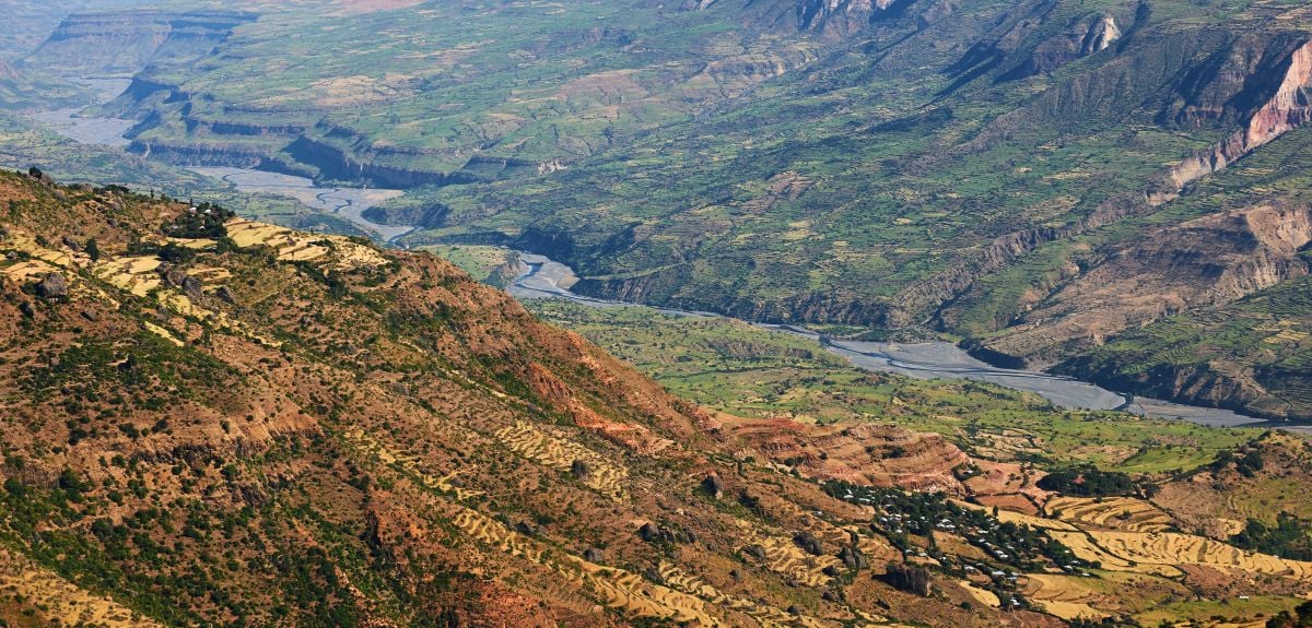 Image credit: Shutterstock