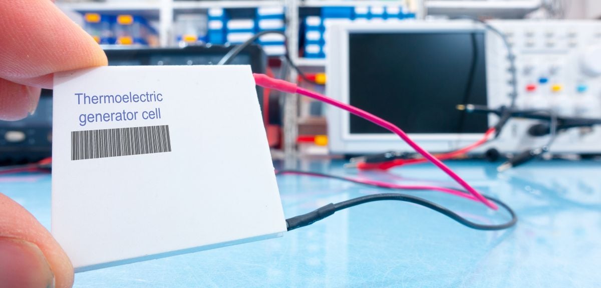 Image credit: Shutterstock