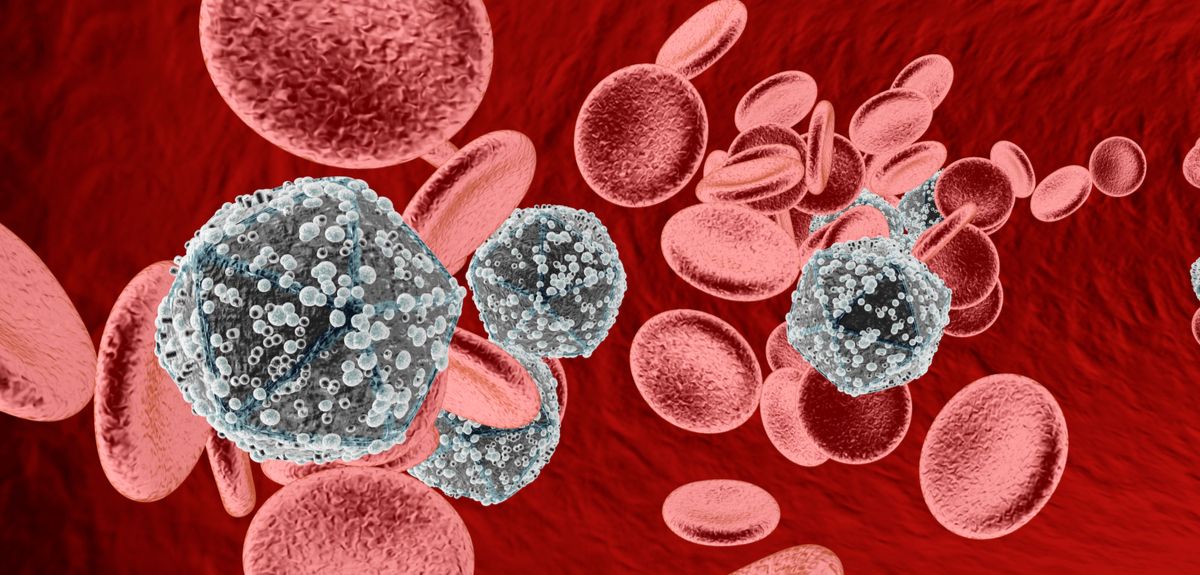 HIV blood cells in the bloodstream